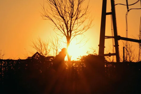 Schilderachtig Buitenzicht Bij Zonsopgang — Stockfoto