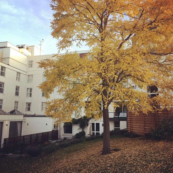 Otoño Parque — Foto de Stock