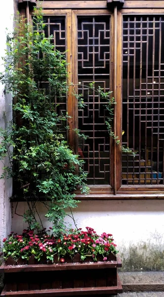 Balcón Con Flores Plantas — Foto de Stock