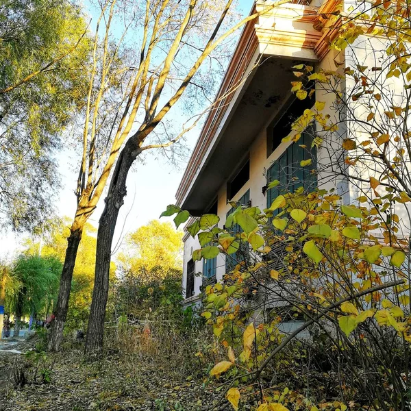 Antigua Casa Bosque — Foto de Stock