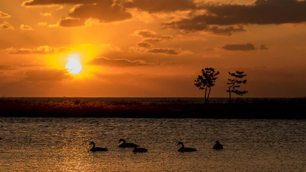 Puesta Sol Sobre Mar — Foto de Stock