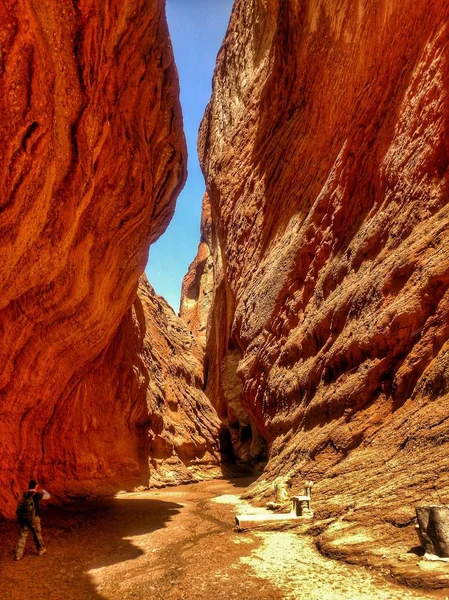 Rote Felsformationen Zion Nationalpark Utah — Stockfoto