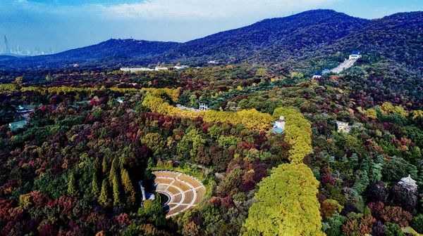 Autumn Season Trees Nature Fall — Stock Photo, Image