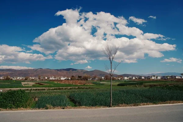 beautiful landscape with road and blue sky