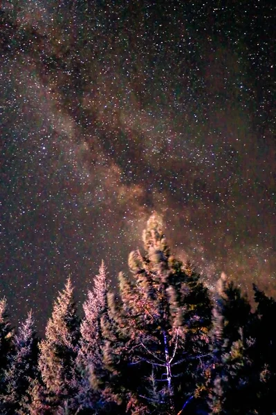 Cielo Nocturno Con Estrellas Astronomía — Foto de Stock