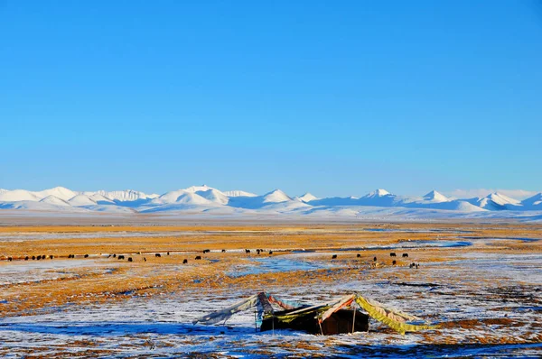 winter landscape with snow and blue sky