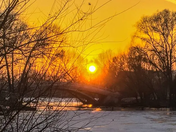 Hermoso Atardecer Bosque — Foto de Stock