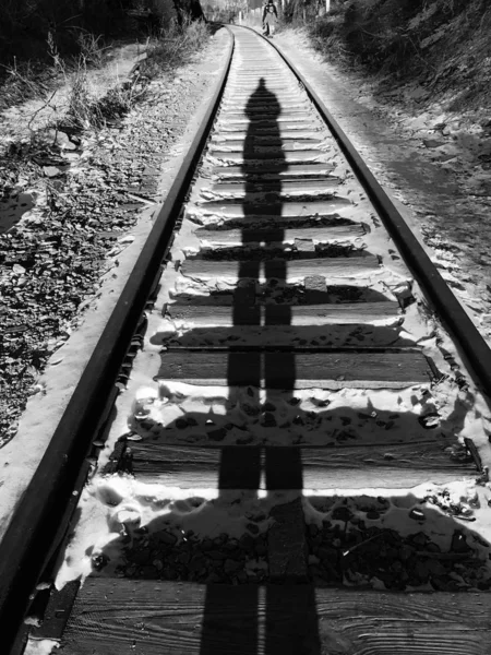 Railroad Tracks Forest — Stock Photo, Image