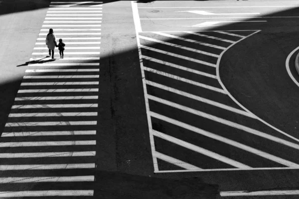 black and white zebra crossing the road