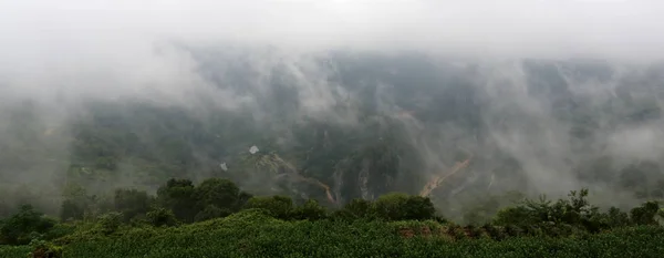 Niebla Niebla Bosque — Foto de Stock