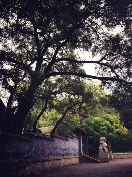 Hermoso Paisaje Del Parque Ciudad — Foto de Stock