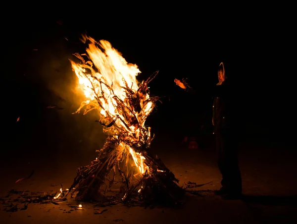 Árbol Muerto Playa — Foto de Stock