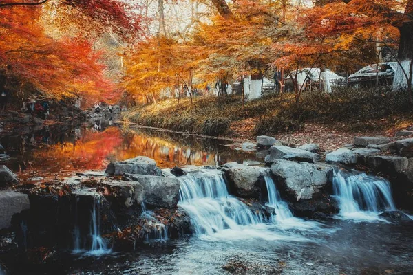 Beautiful Waterfall Natural Background — Stock Photo, Image