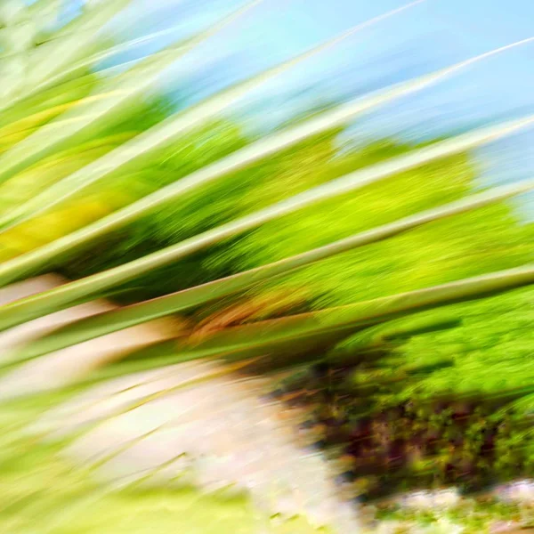 abstract background with colorful blurred motion blur