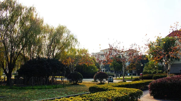 Hermoso Parque Ciudad — Foto de Stock