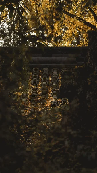 Bellissimo Paesaggio Con Fiume Sullo Sfondo — Foto Stock