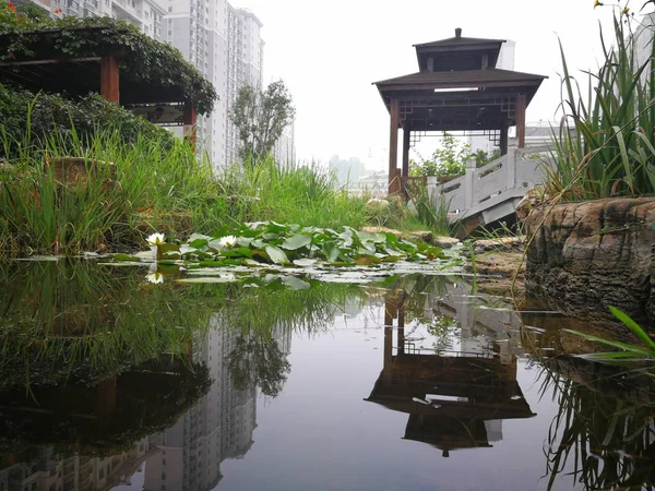 Bel Étang Dans Parc — Photo