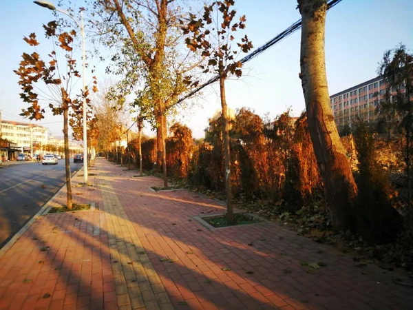 path in the autumn park.