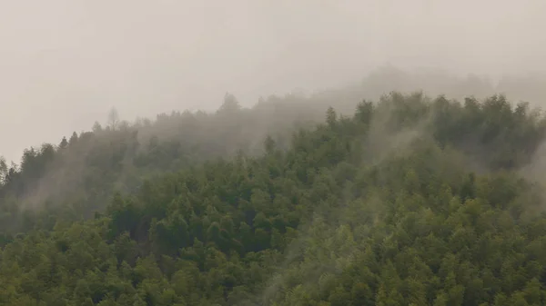 foggy fog in the mountains.