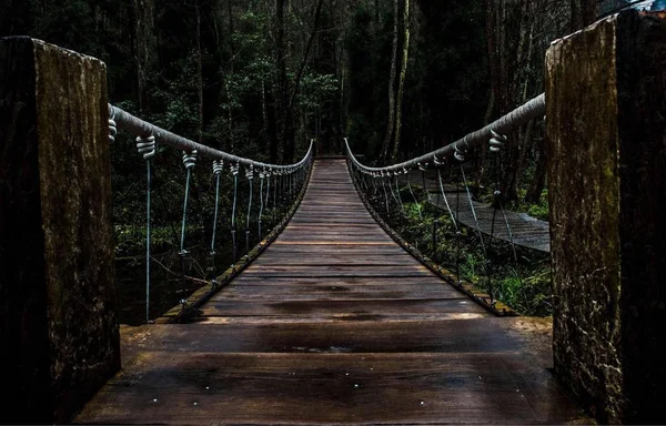 old wooden bridge in the forest