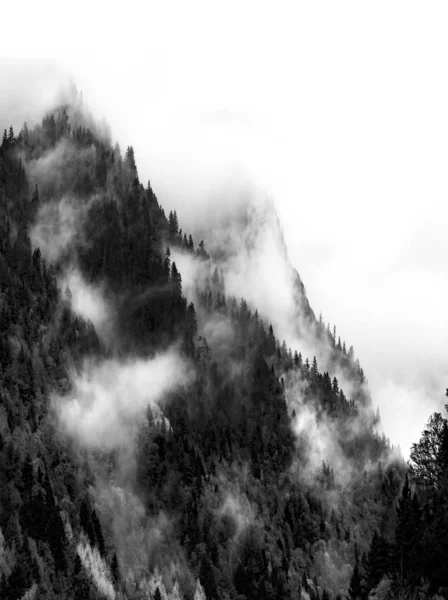 Paesaggio Montano Nella Nebbia — Foto Stock