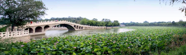 Hermosa Vista Ciudad Del Parque Verano — Foto de Stock