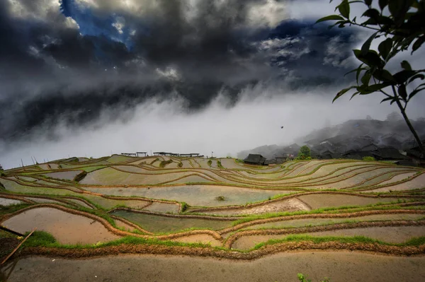 Agricultural field in rural area