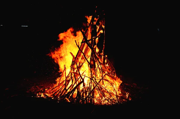 Fuego Bosque — Foto de Stock