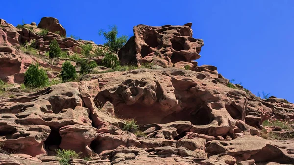 Vacker Natur Naturbakgrund — Stockfoto