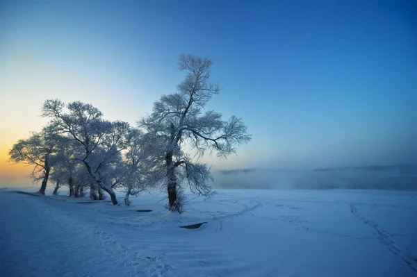 Hermoso Paisaje Invierno Con Nieve —  Fotos de Stock