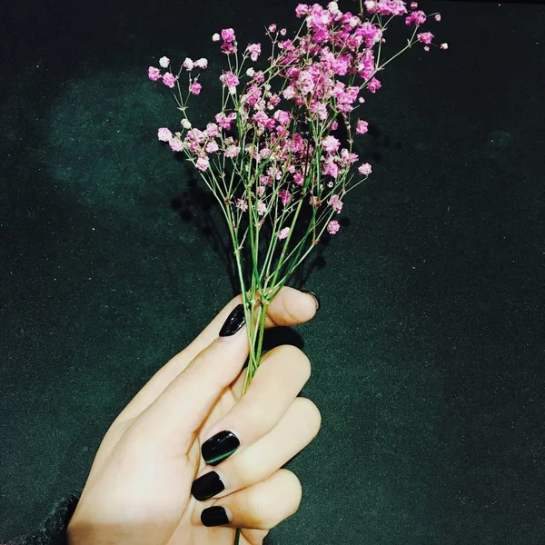 Mano Femenina Sosteniendo Una Flor Sus Manos — Foto de Stock