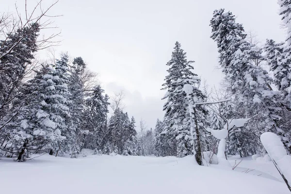 Paisaje Invernal Las Montañas — Foto de Stock