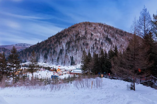 Paisaje Invernal Las Montañas — Foto de Stock