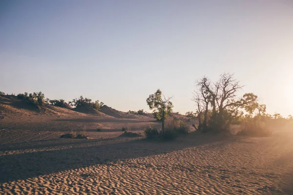 Hermoso Paisaje Del Desierto Por Mañana — Foto de Stock