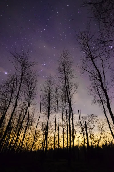 Cielo Nocturno Con Estrellas Astronomía — Foto de Stock