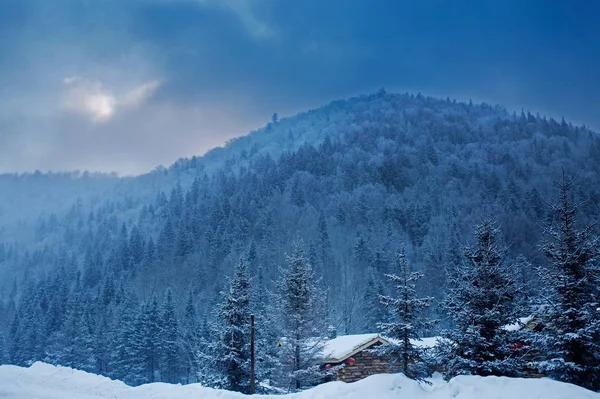 Paisaje Invernal Con Árboles Cubiertos Nieve — Foto de Stock