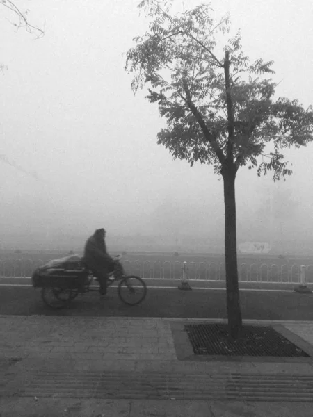 stock image a man riding a bicycle on a foggy day