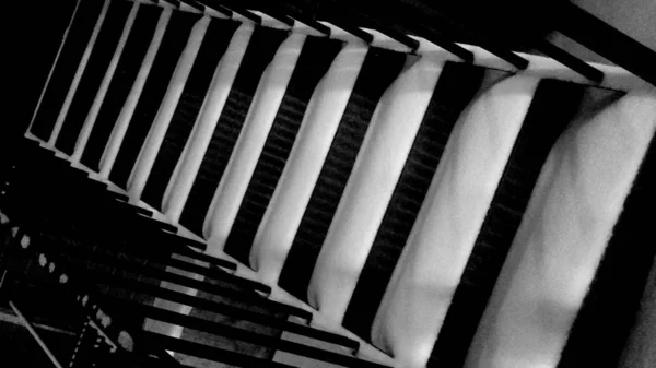 close up of a black and white film strip