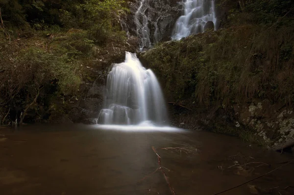 waterfalls and waterfall in the forest