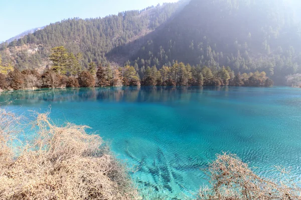 Lago Las Montañas Los Alpes — Foto de Stock