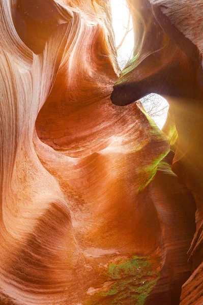 Canyon Antilope Arizona — Foto Stock
