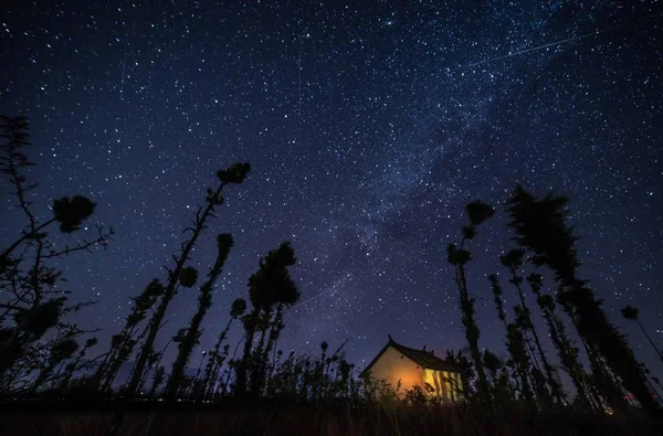 Hermoso Cielo Nocturno Con Estrellas — Foto de Stock