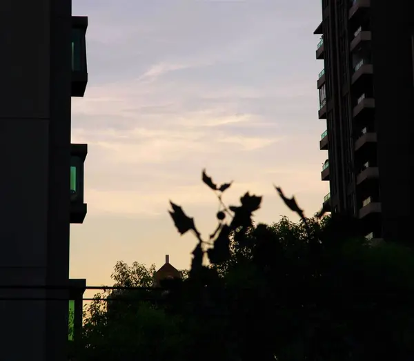 Stock image silhouette of a bird on the roof of a building