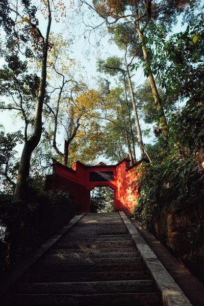 Hermoso Árbol Rojo Parque — Foto de Stock