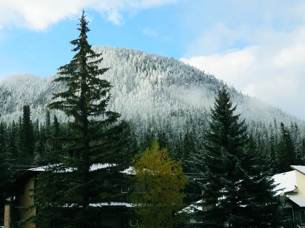 Paisaje Montaña Con Árboles Nieve — Foto de Stock