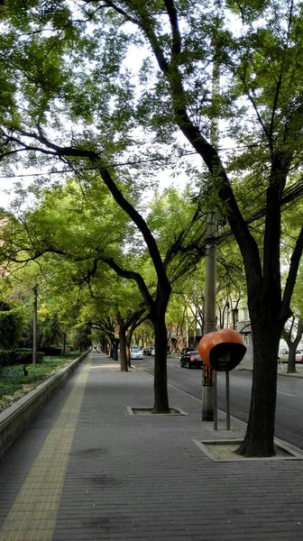 Hermosa Vista Del Parque Ciudad — Foto de Stock