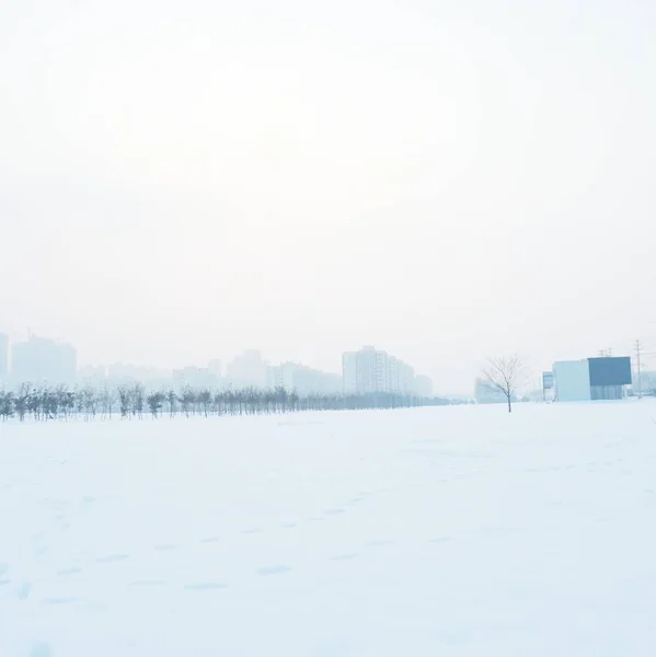 Vista Del Paisaje Invernal Con Nieve — Foto de Stock
