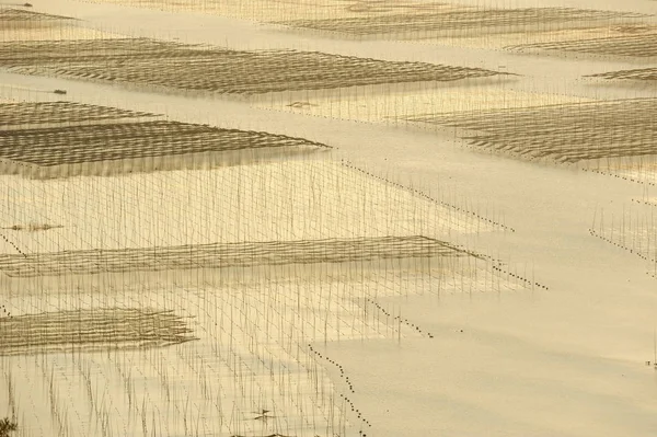 伊斯拉尔市沙丘中的老沙漠的鸟瞰图 — 图库照片