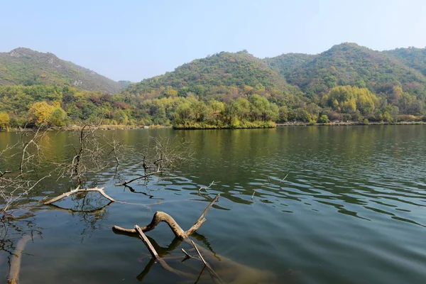 Vista Panorámica Del Hermoso Paisaje Verde — Foto de Stock