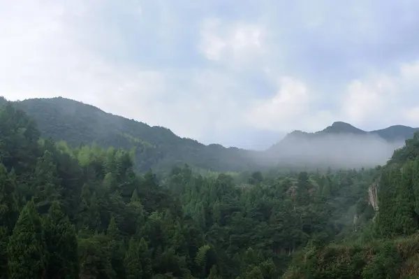 Paisagem Montanhosa Com Nevoeiro Floresta — Fotografia de Stock